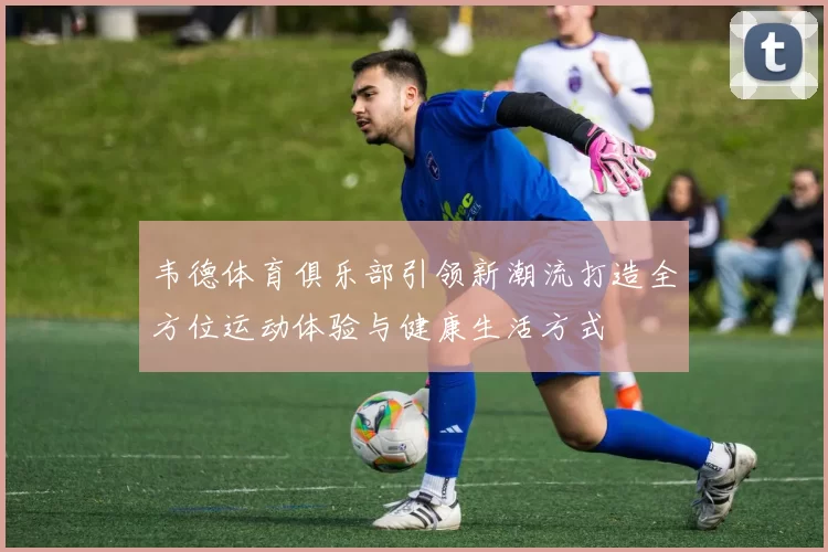 韦德体育俱乐部引领新潮流打造全方位运动体验与健康生活方式