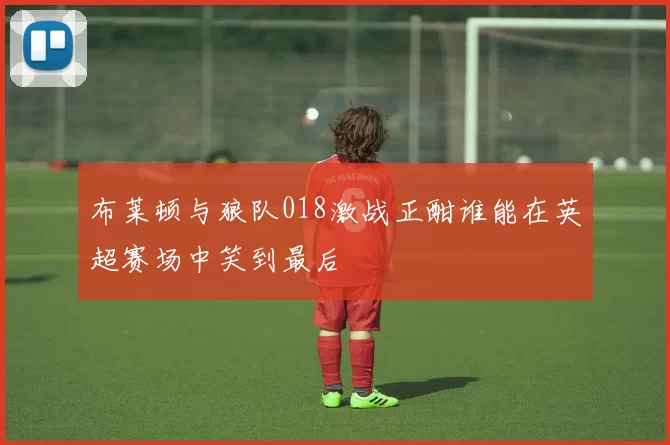 布莱顿与狼队018激战正酣谁能在英超赛场中笑到最后